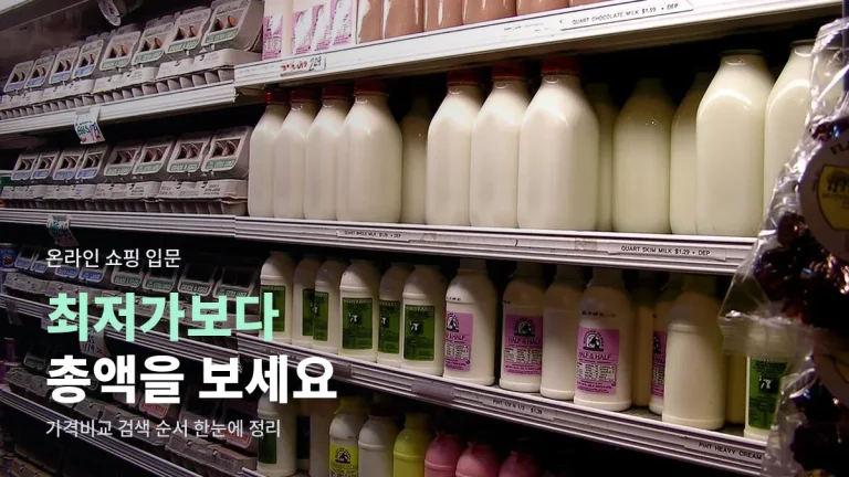 가격비교 처음 쓰는 법 - 최저가 검색, 배송비, 판매자 확인 순서와 쇼핑 사이트모음 활용